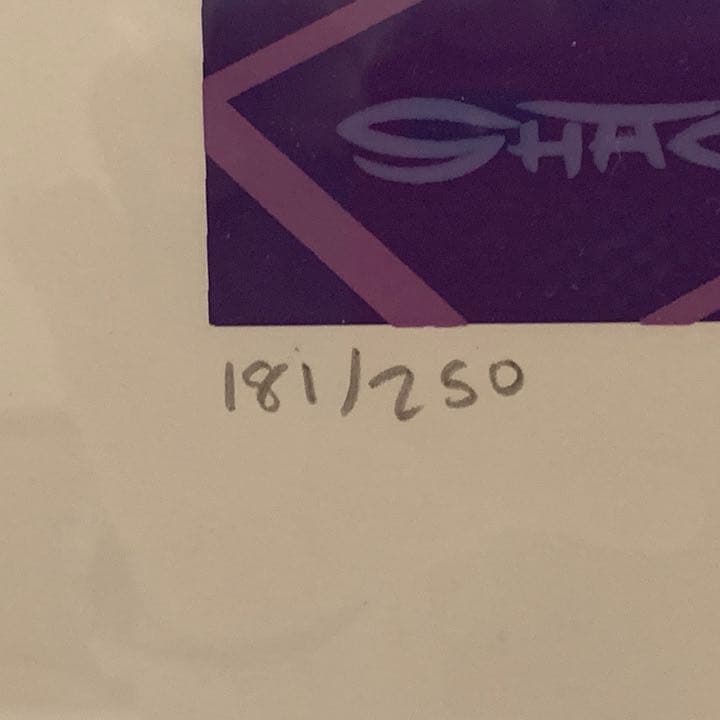 貴重　Shag シャグ シルクスクリーンポスター　ナンバーリング. #005