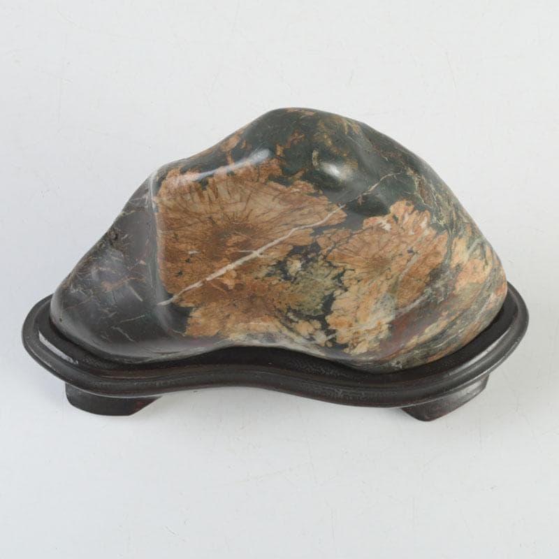 天然石　鑑賞石　菊花石　置物　重さ約792g　唐木台付　V　9424