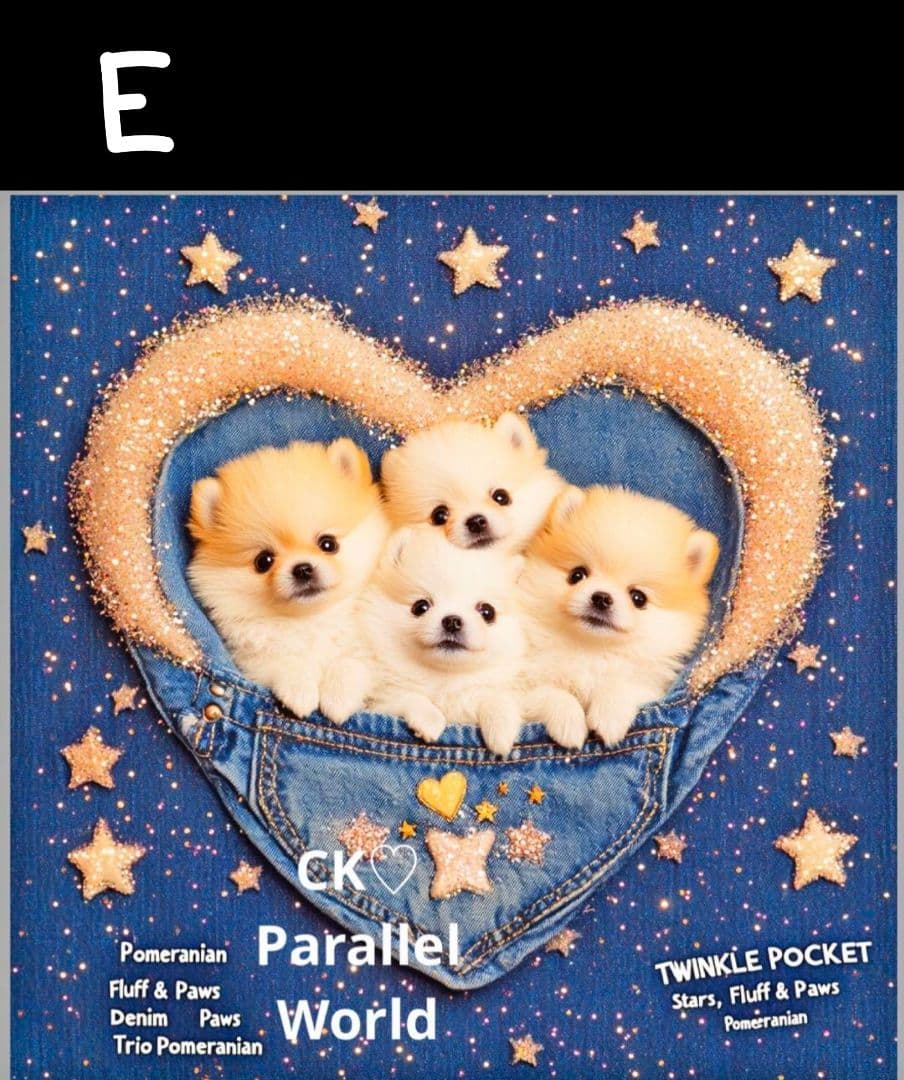 オーダー受付　ポメラニアン　ご予約ページ　5/26