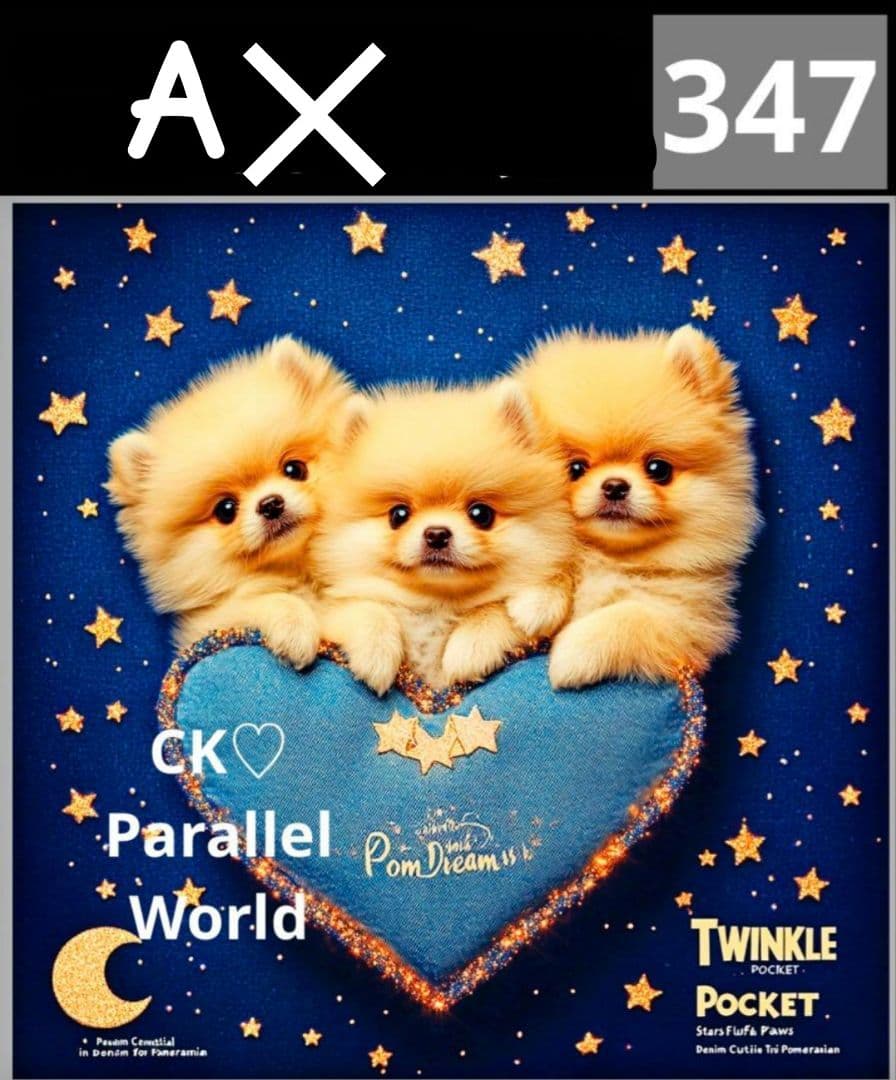 オーダー受付　ポメラニアン　ご予約ページ　5/26