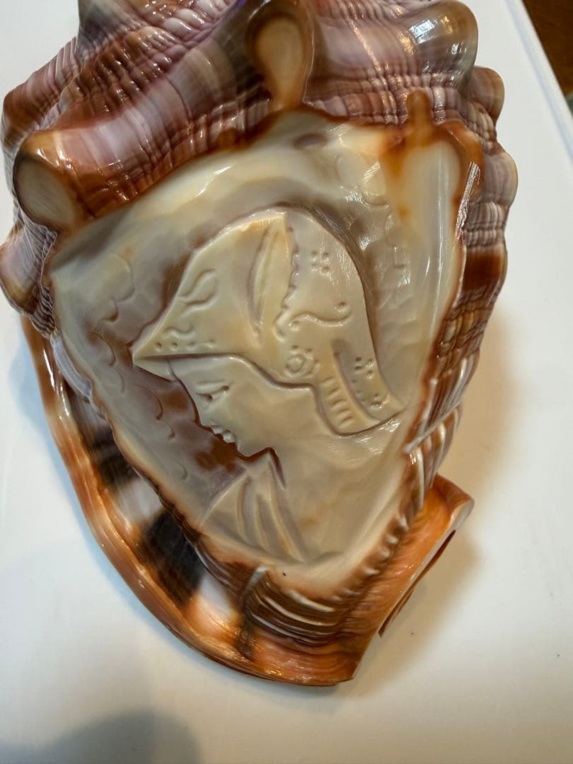 シェル カメオ インテリア 置物 ディスプレイ ②