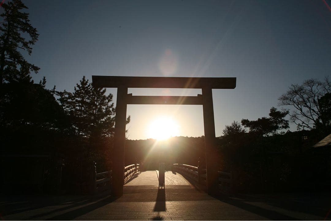 【日本銘石】神宮御山杉　太珠　極 勾玉 PT 小