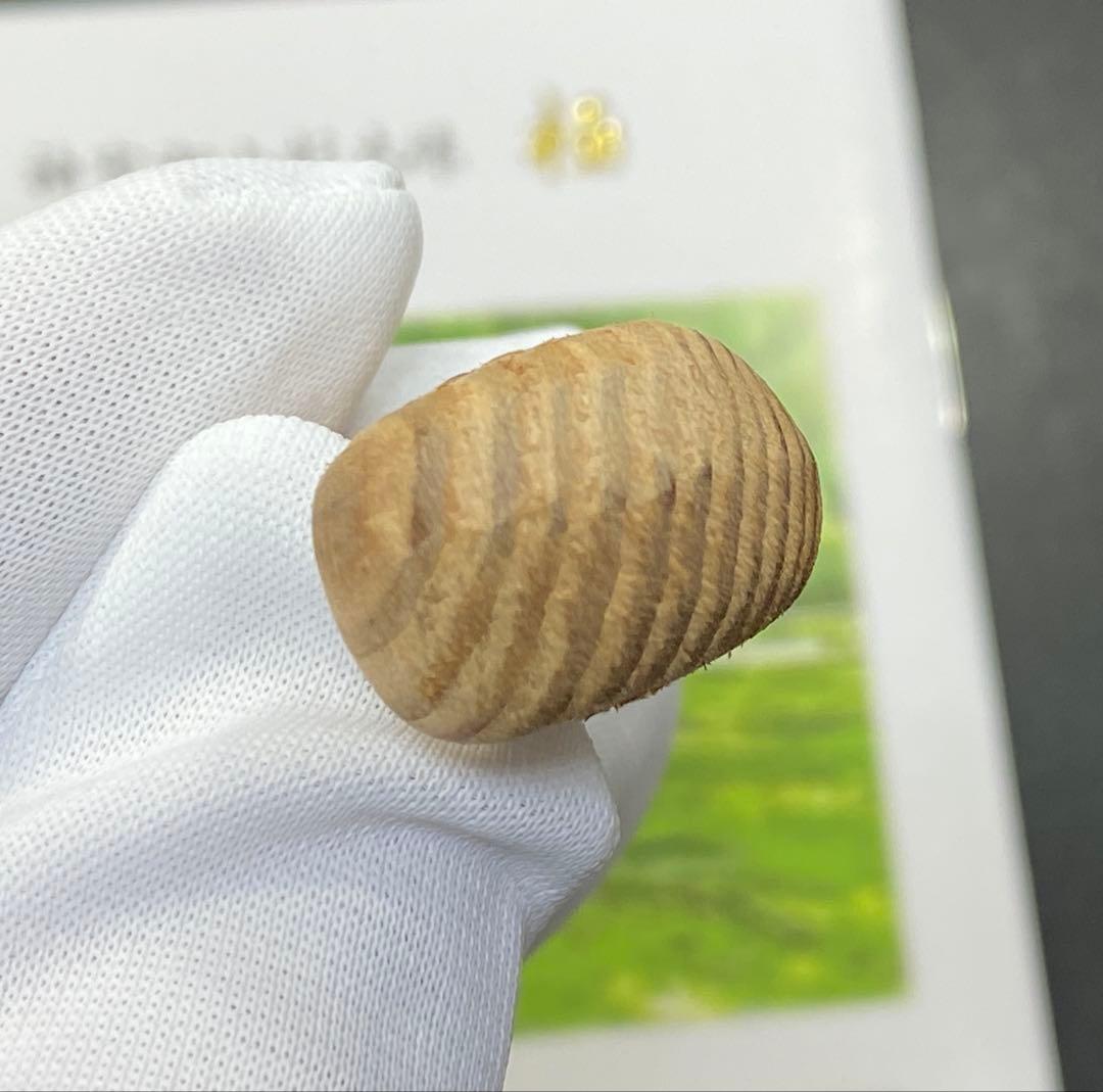 【日本銘石】神宮御山杉　太珠　極 勾玉 PT 小