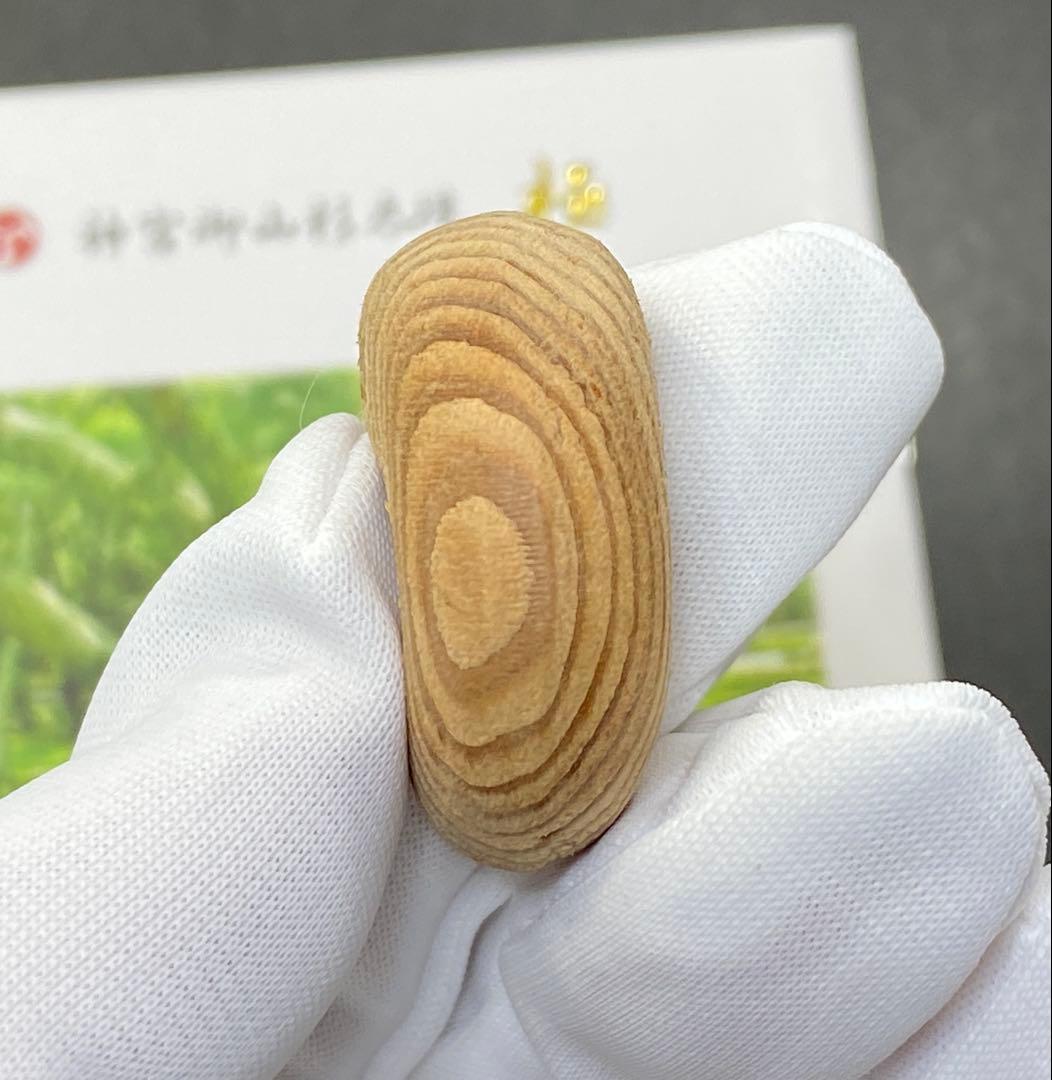 【日本銘石】神宮御山杉　太珠　極 勾玉 PT 小