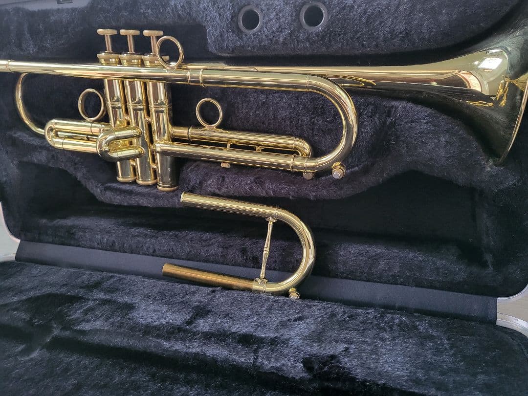 Carol Brass ZORRO C-line Cozy Special - メルカリ