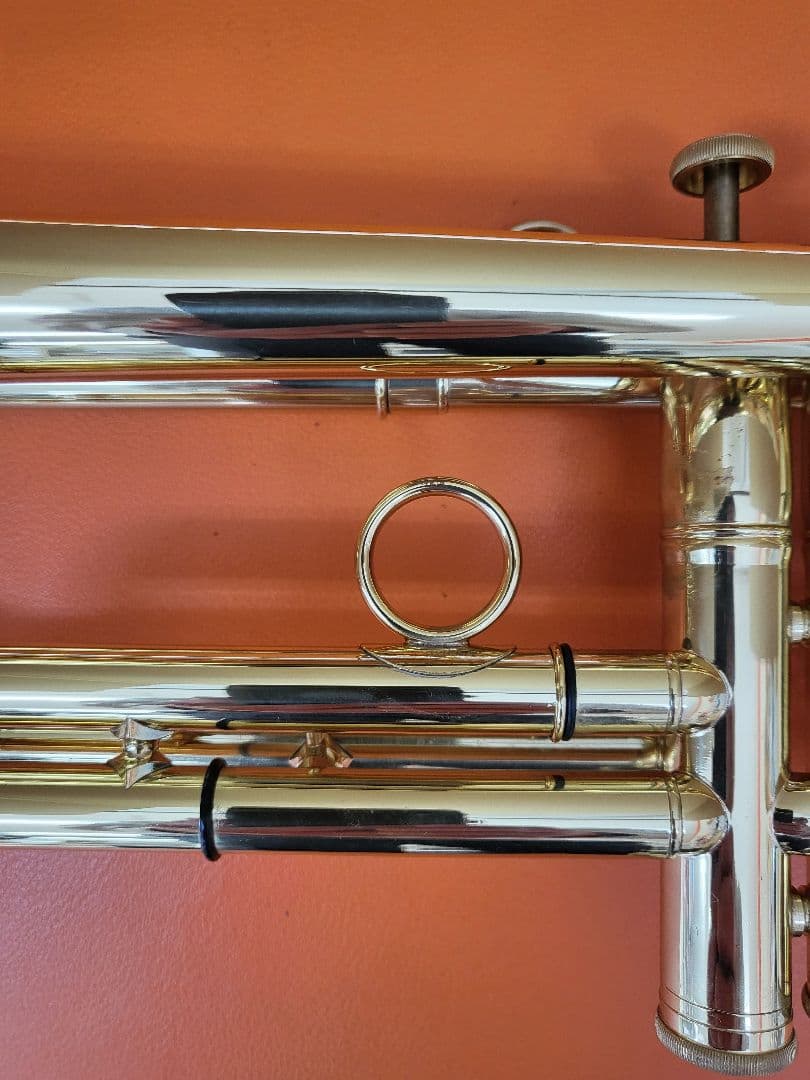 Carol Brass ZORRO C-line Cozy Special - メルカリ