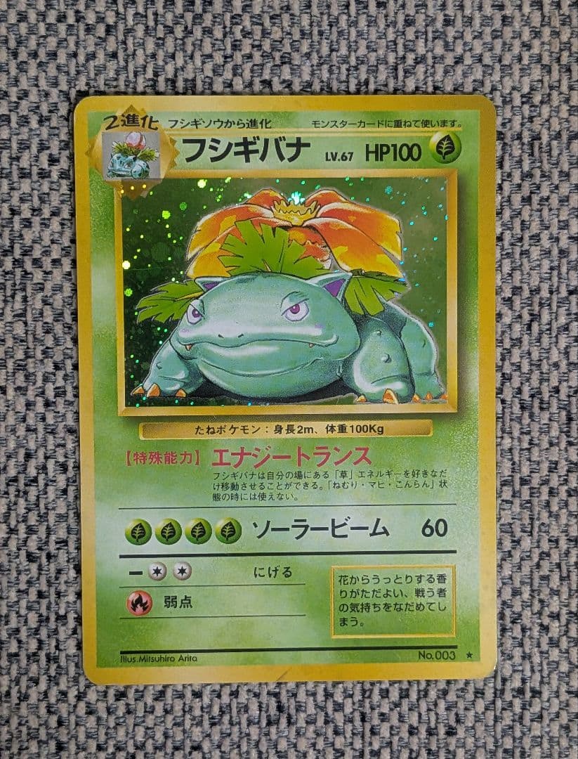 フシギバナ 第1弾拡張パック 旧裏（管理用1666） - メルカリ