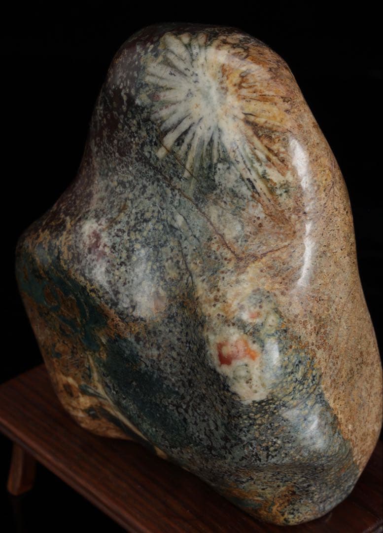 菊花石 白菊 紋石 台座付 1.4kg 鑑賞石 原石 天然石 水石 盆石 鉱物