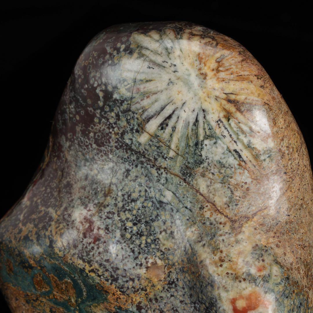 菊花石 白菊 紋石 台座付 1.4kg 鑑賞石 原石 天然石 水石 盆石 鉱物