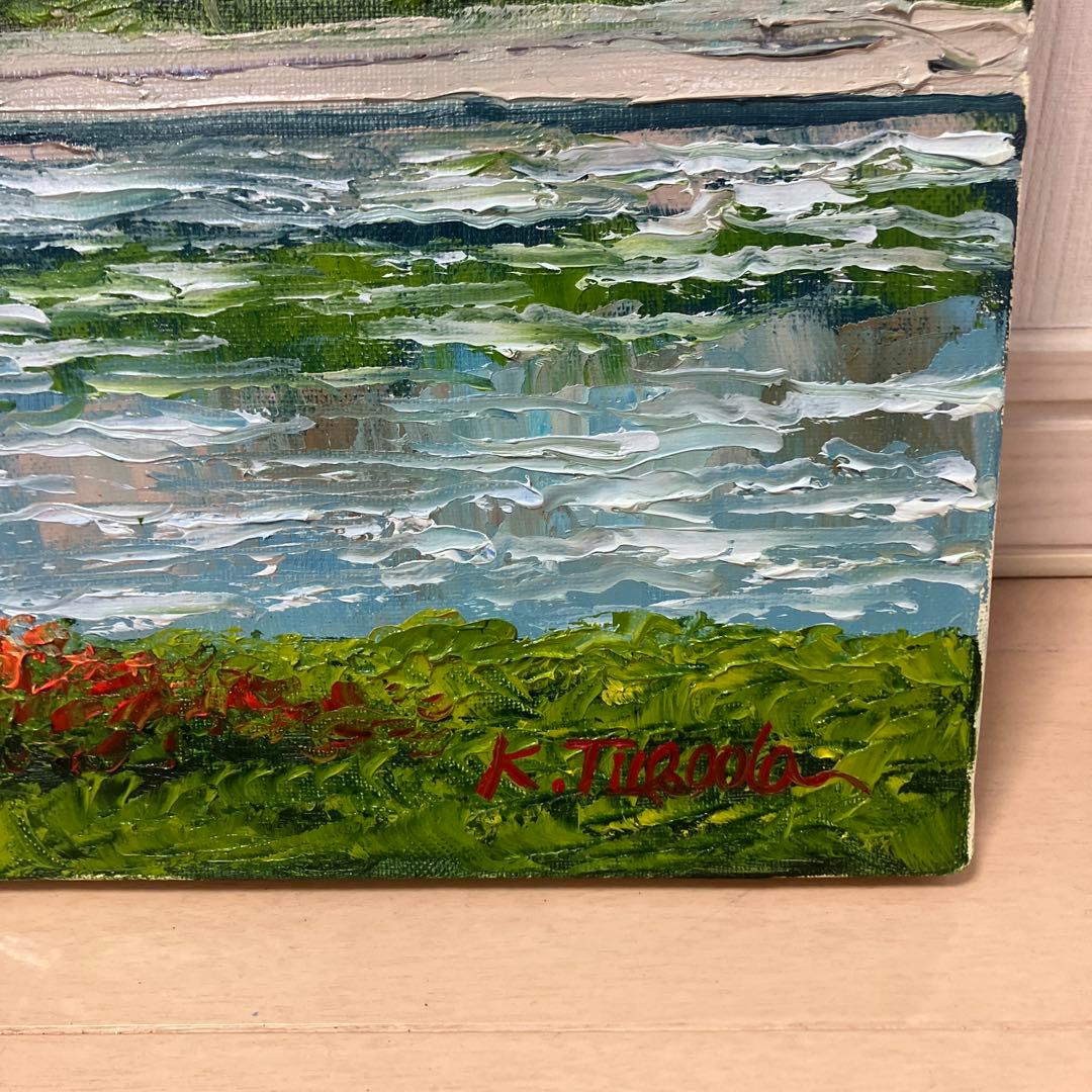 塚田國次　ブダペストとドナウ川