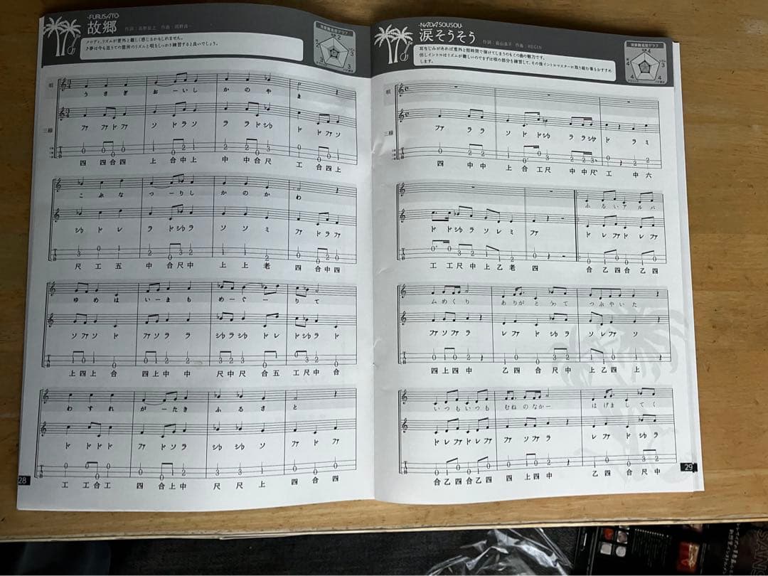 ASOVIVA 三線　独学マスター13点セット　本革