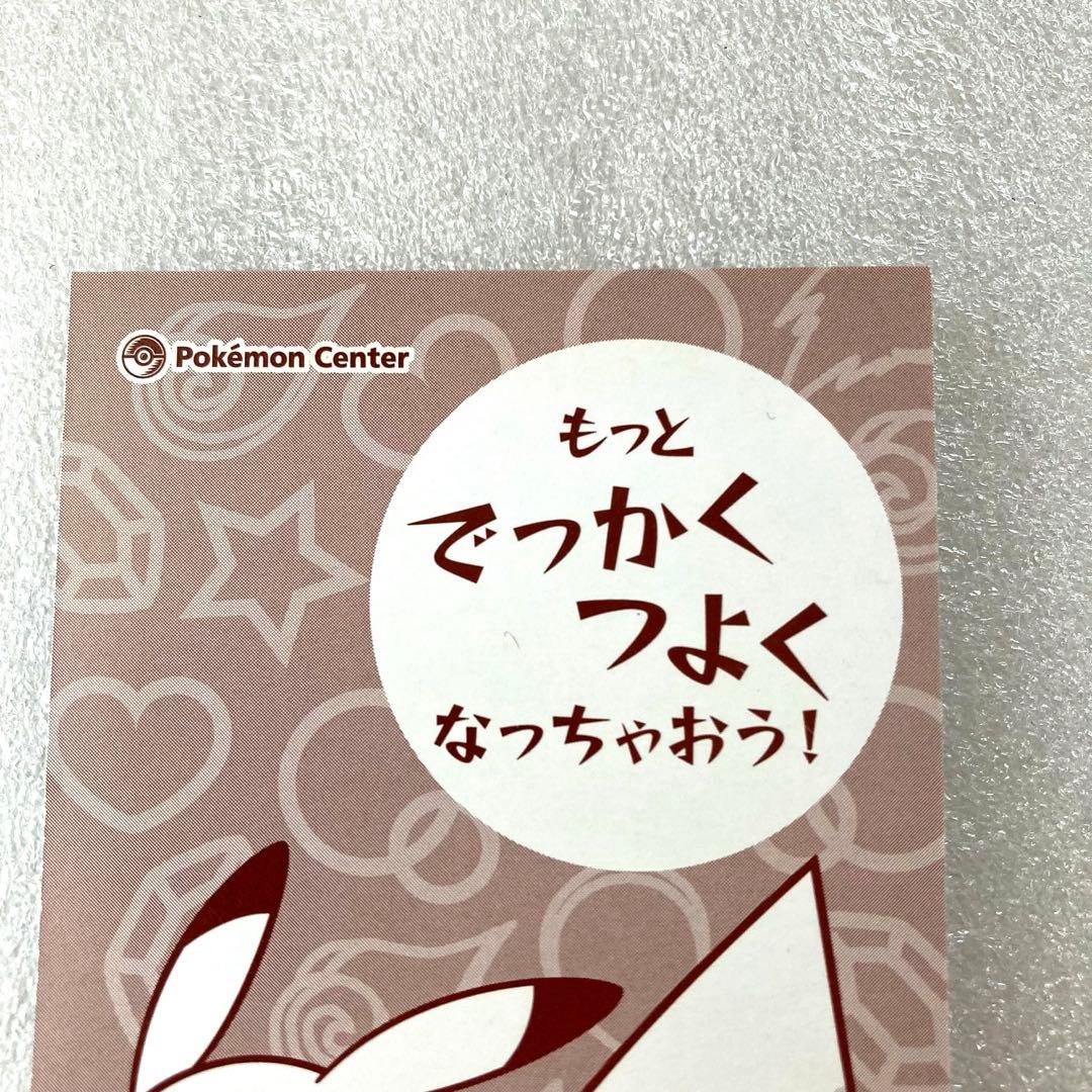 ポケモンセンター ポンチョを着たピカチュウ 名刺カード メガ