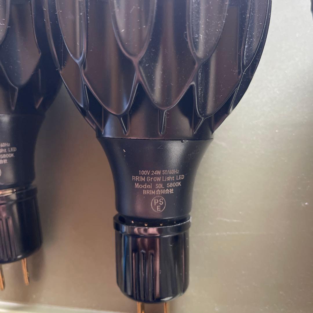 BRIM Grow Light LED 5800Kブリム 育成ライトアガベパキポ - メルカリ