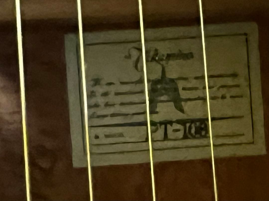 Takamine PT108 STR エレアコ/タカミネ 長渕剛ゆず北川悠仁