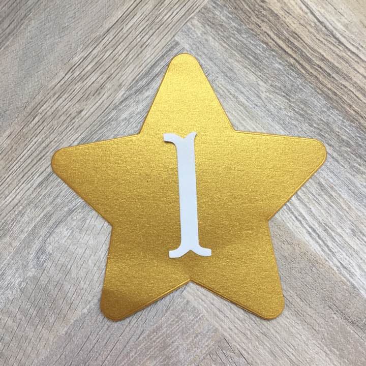 412様✶⋆確認専用ページ バースデーガーランド ハーフバースデーガーランド