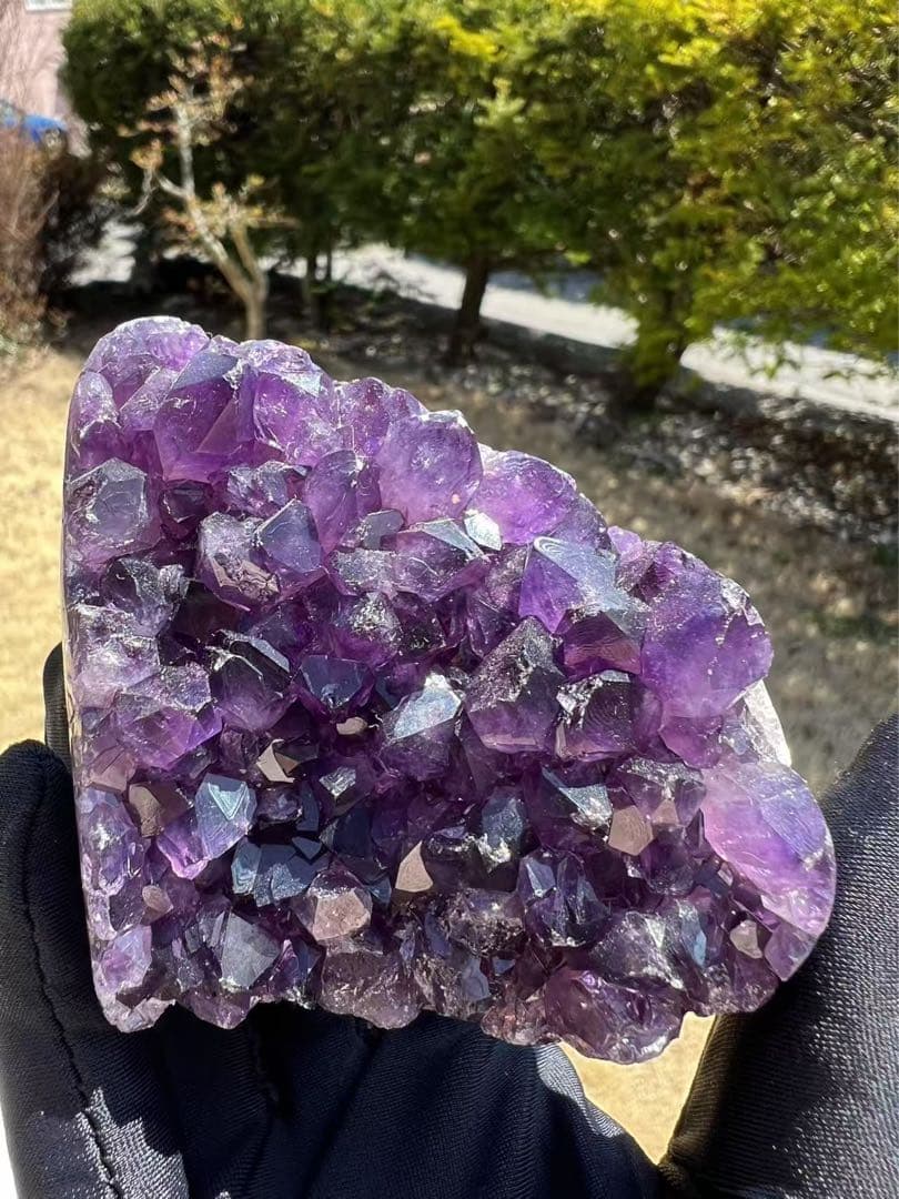 A771 アメジストドーム クラスター ウルグアイ産 と水晶クラスター
