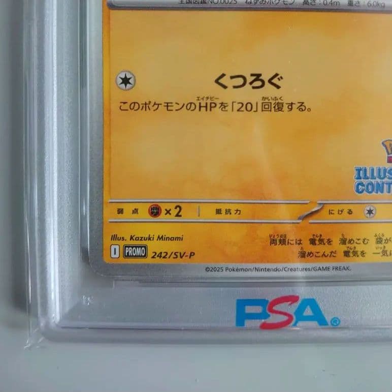 ピカチュウ 242/SV-P ILLUSTRATIONCONTES 2024