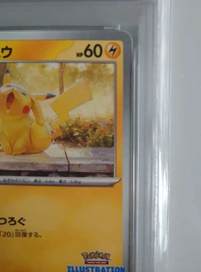 ピカチュウ 242/SV-P ILLUSTRATIONCONTES 2024