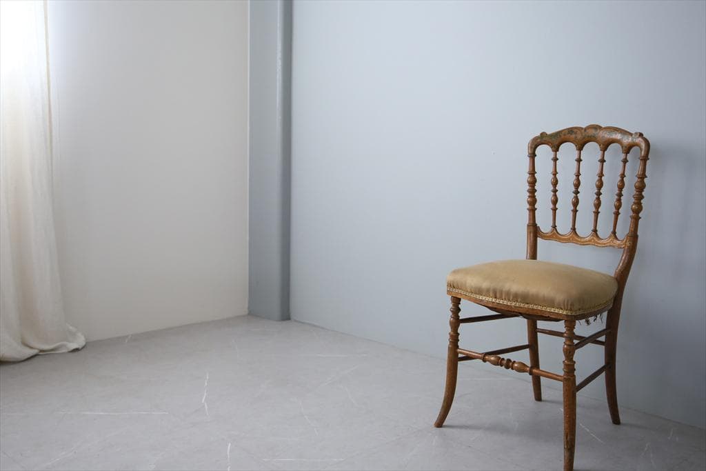 フランスアンティーク木製ナポレオンチェア/ダイニングイス椅子(90-219-1)