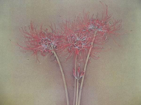 大野　俶嵩、彼岸花、希少な画集より、新品高級額装付、版上サイン入り、状態良好