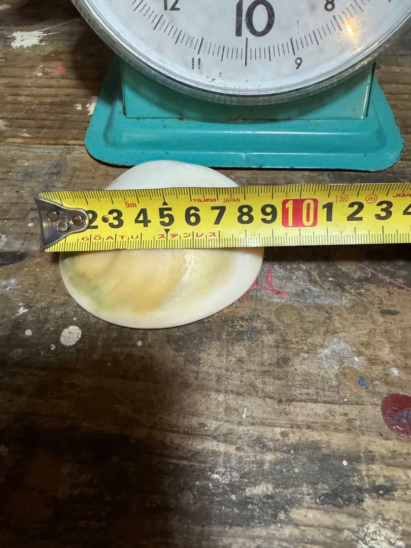 ⭐️特大夜光貝⭐️貝殻 約1.9kg ハンドメイド素材や置物等