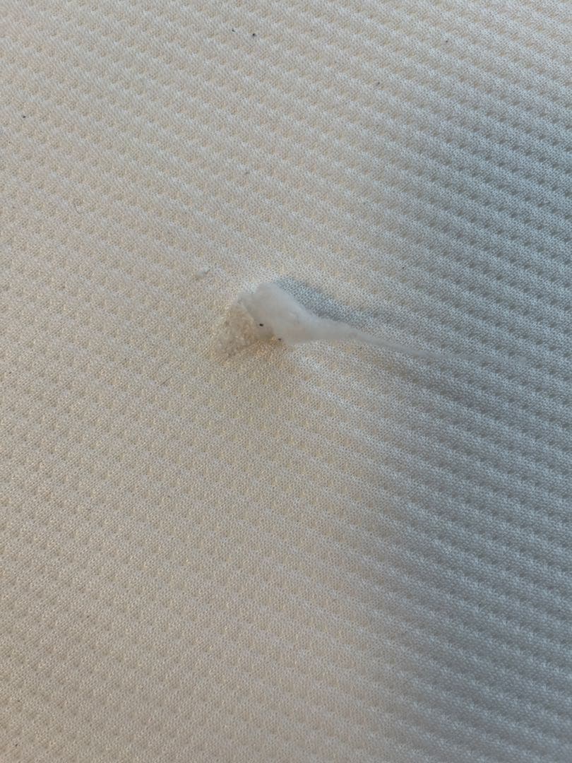 と*だ様 エアウィーヴ S01 クイーン 丸洗い可 高反発