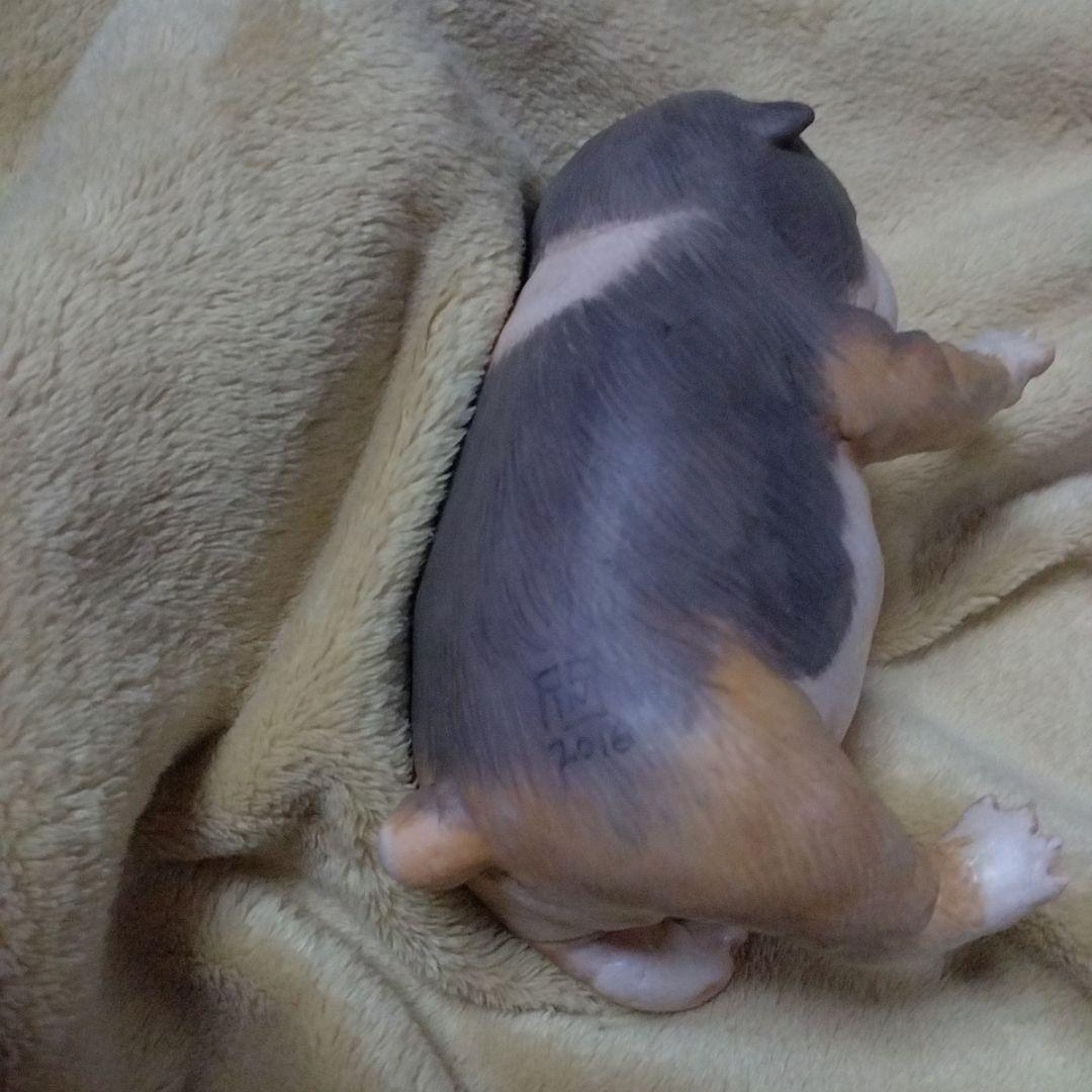 セール中 フルシリコン　ブルドッグ　リボーンドール