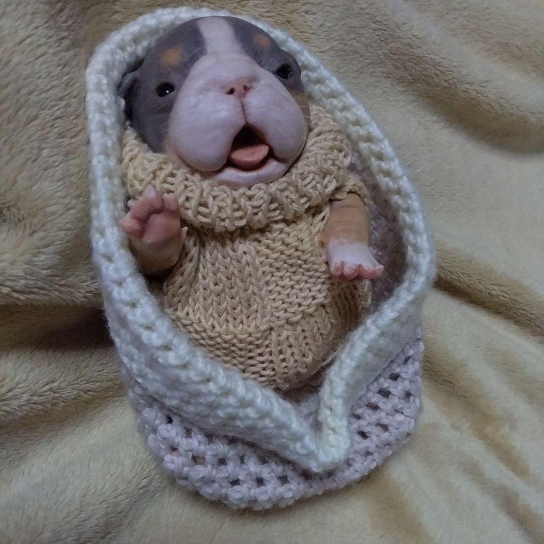 セール中 フルシリコン　ブルドッグ　リボーンドール