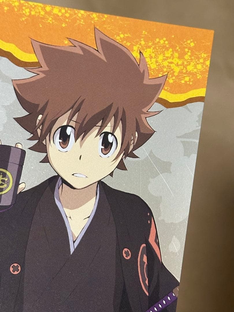 家庭教師ヒットマンリボーン　ツナ　沢田綱吉　ポストカード