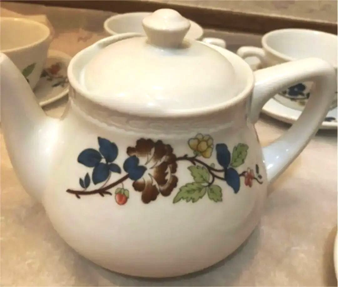 美品！大特価！リチャードジノリ　食器13点セット