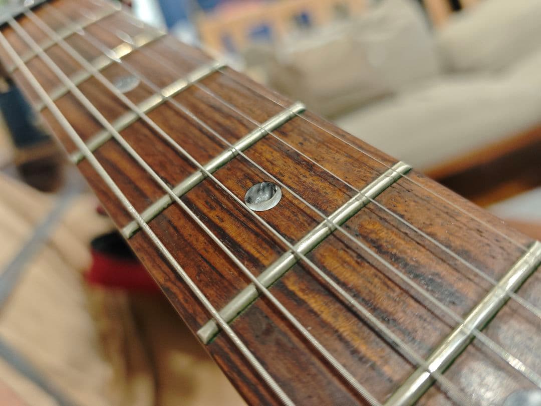 PRS SE Custom 24 グリーン系 フレイムトップ 調整済 ケース付 - メルカリ