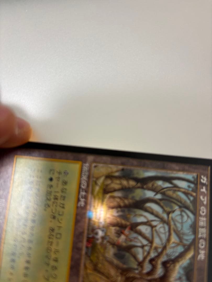 MTG ガイアの揺籃の地 日本語版 - メルカリ