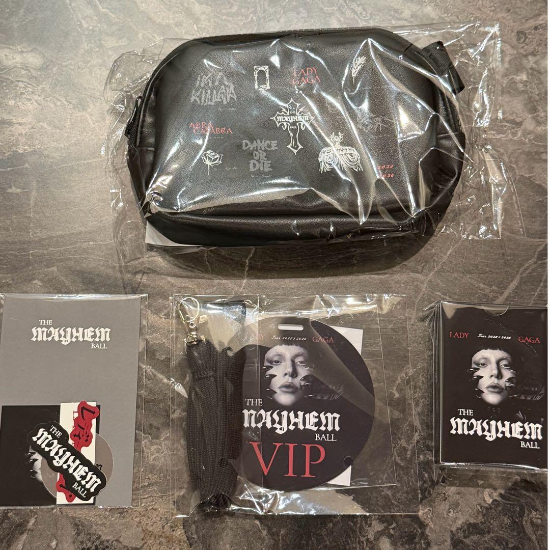 Lady Gaga レディーガガ 東京ドーム VIPシルバー席グッズ - メルカリ