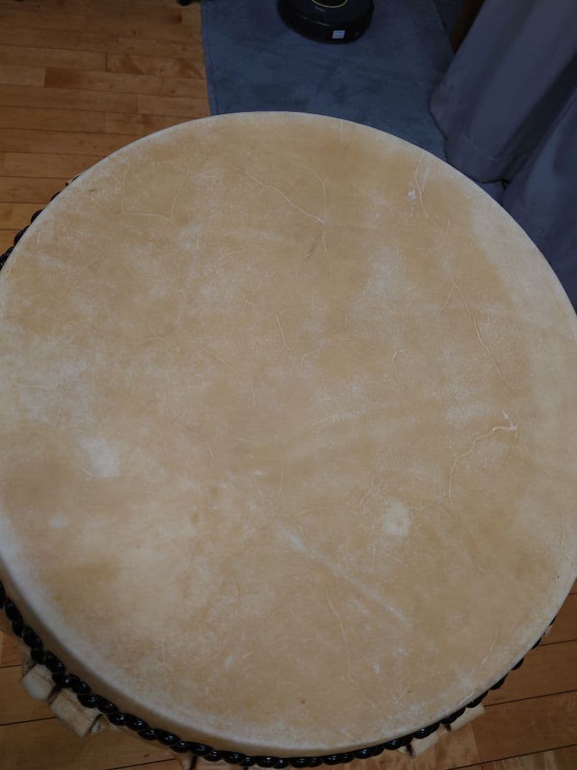 １尺６寸、ケヤキくり抜き胴。皮＝新品