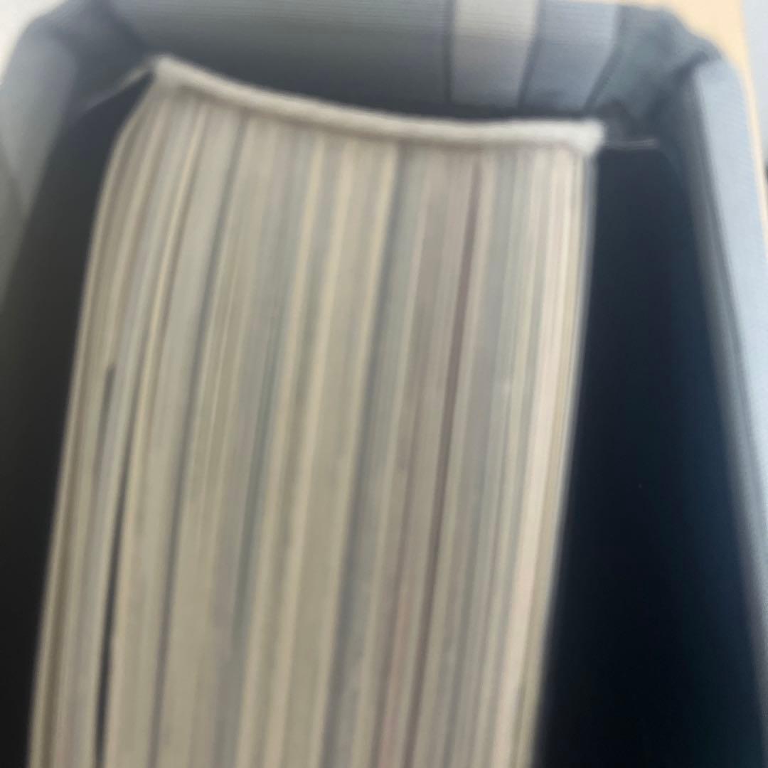 エミリオプッチ本