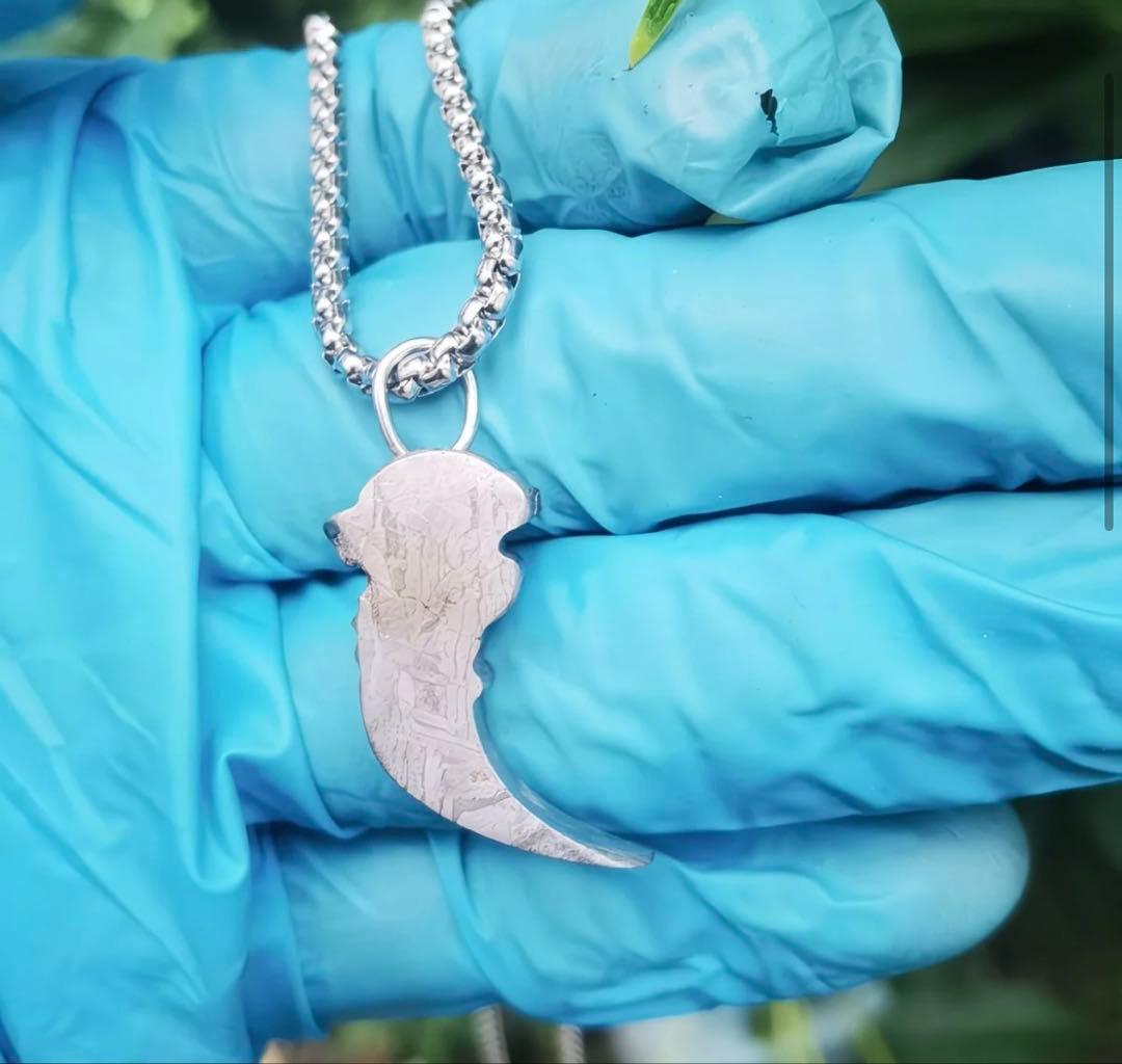 アルタイ隕石　ウルフファング ペンダント