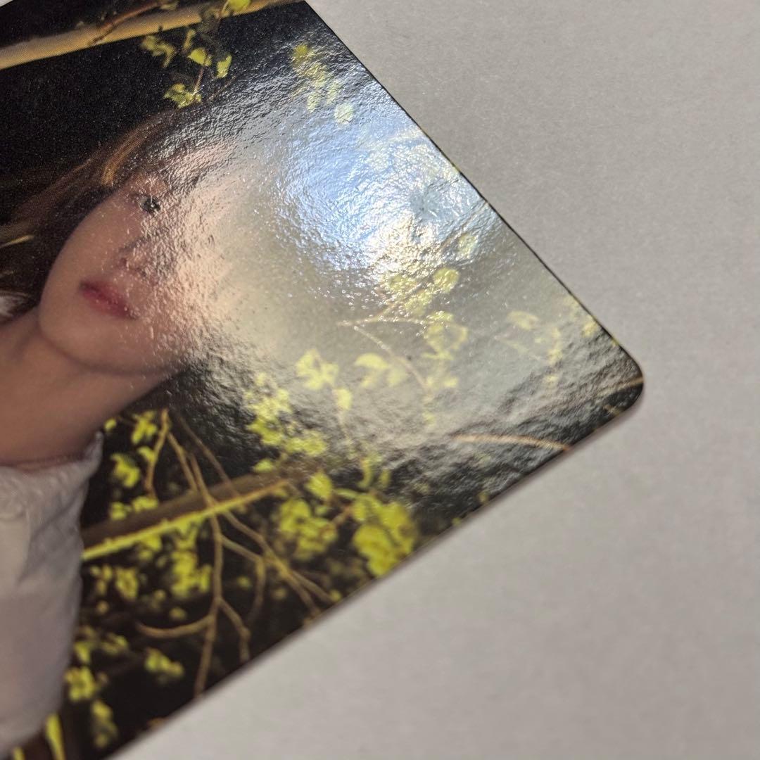 boynextdoor no genreポップアップ 台湾 台北 ソンホ トレカ