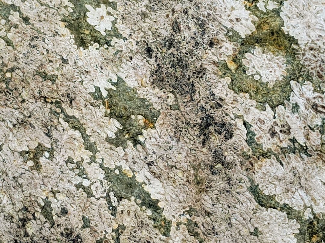 （b-54）越前紋石秀品木製台座付き（参考）