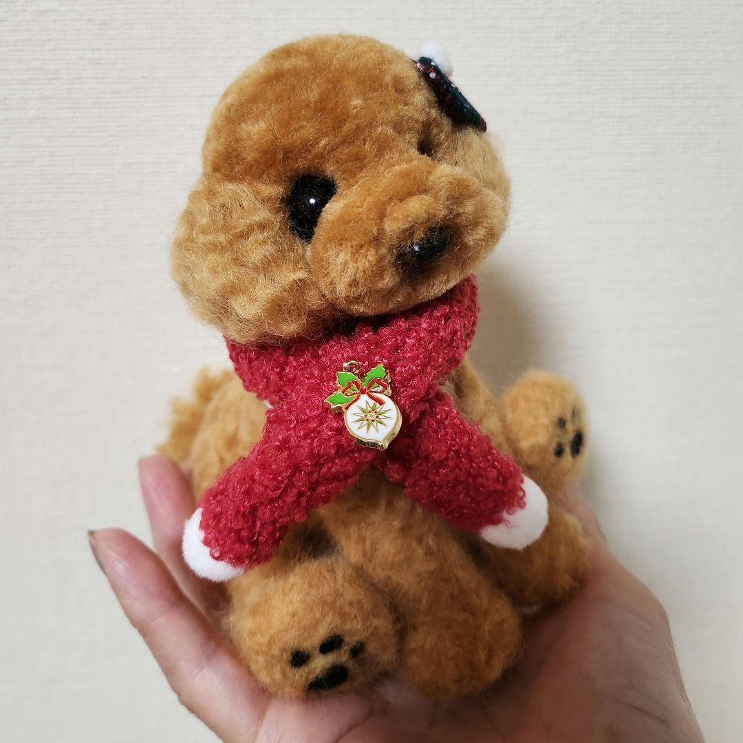トイプードル❤️クリスマス特別価格❤️　　　　　　　　　　　　お迎え決まりました