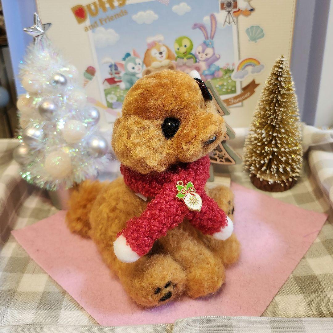 トイプードル❤️クリスマス特別価格❤️　　　　　　　　　　　　お迎え決まりました