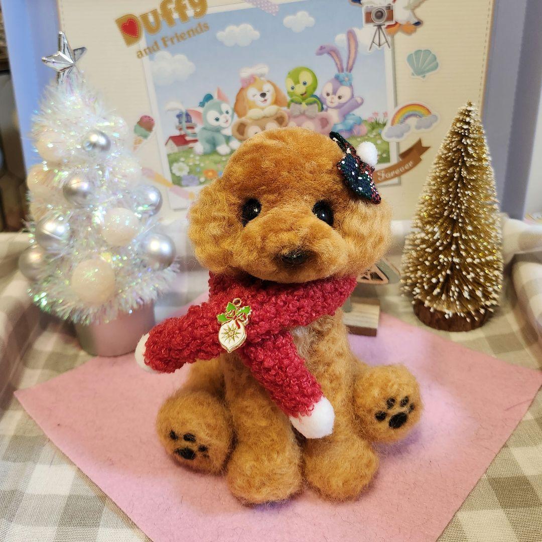 トイプードル❤️クリスマス特別価格❤️　　　　　　　　　　　　お迎え決まりました