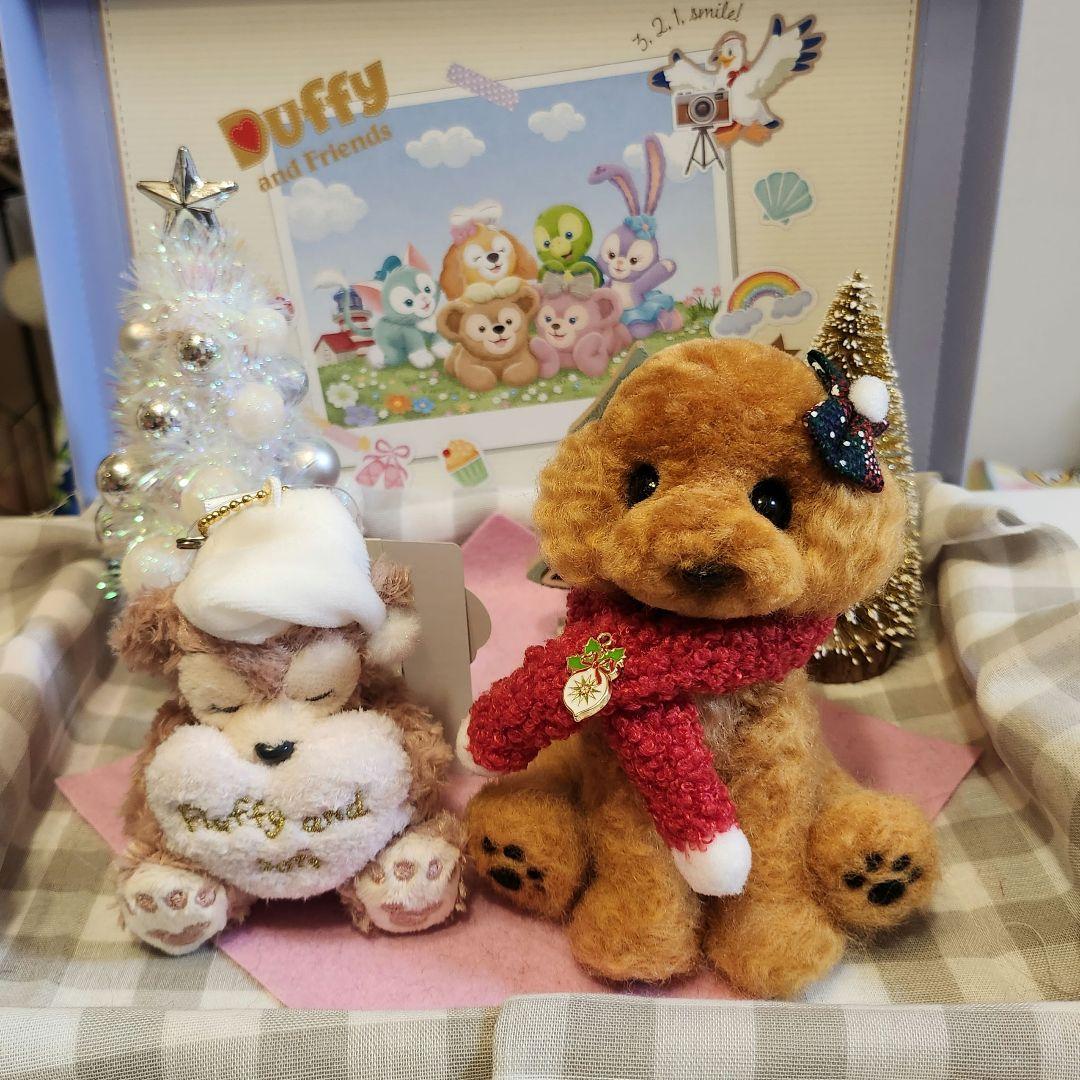 トイプードル❤️クリスマス特別価格❤️　　　　　　　　　　　　お迎え決まりました