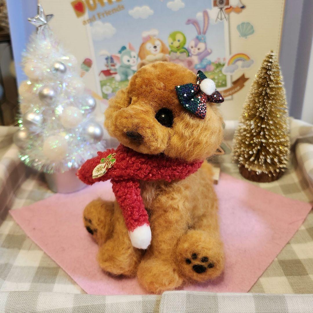 トイプードル❤️クリスマス特別価格❤️　　　　　　　　　　　　お迎え決まりました