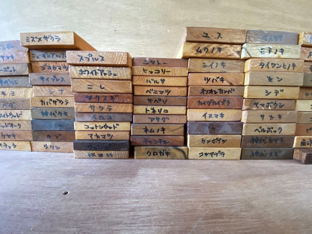 木材の端材サンプル162枚