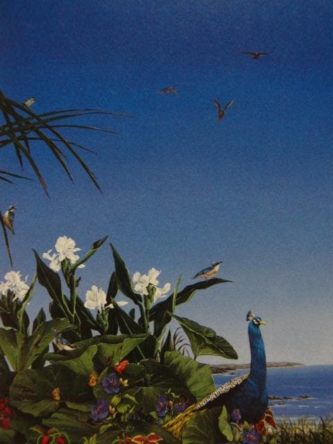 北　久美子【夢想植物園・・・・・・Y】、希少画集画、状態良好