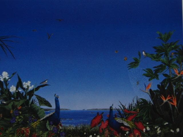 北　久美子【夢想植物園・・・・・・Y】、希少画集画、状態良好