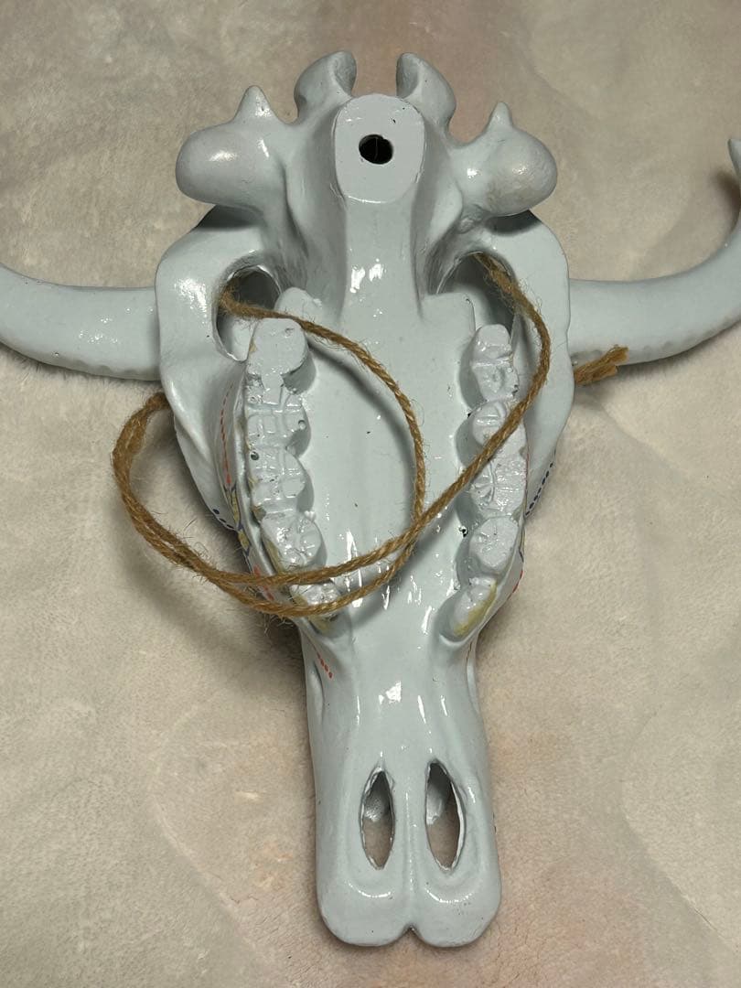 バッファロースカル オブジェ 壁掛け メキシカン カラフル