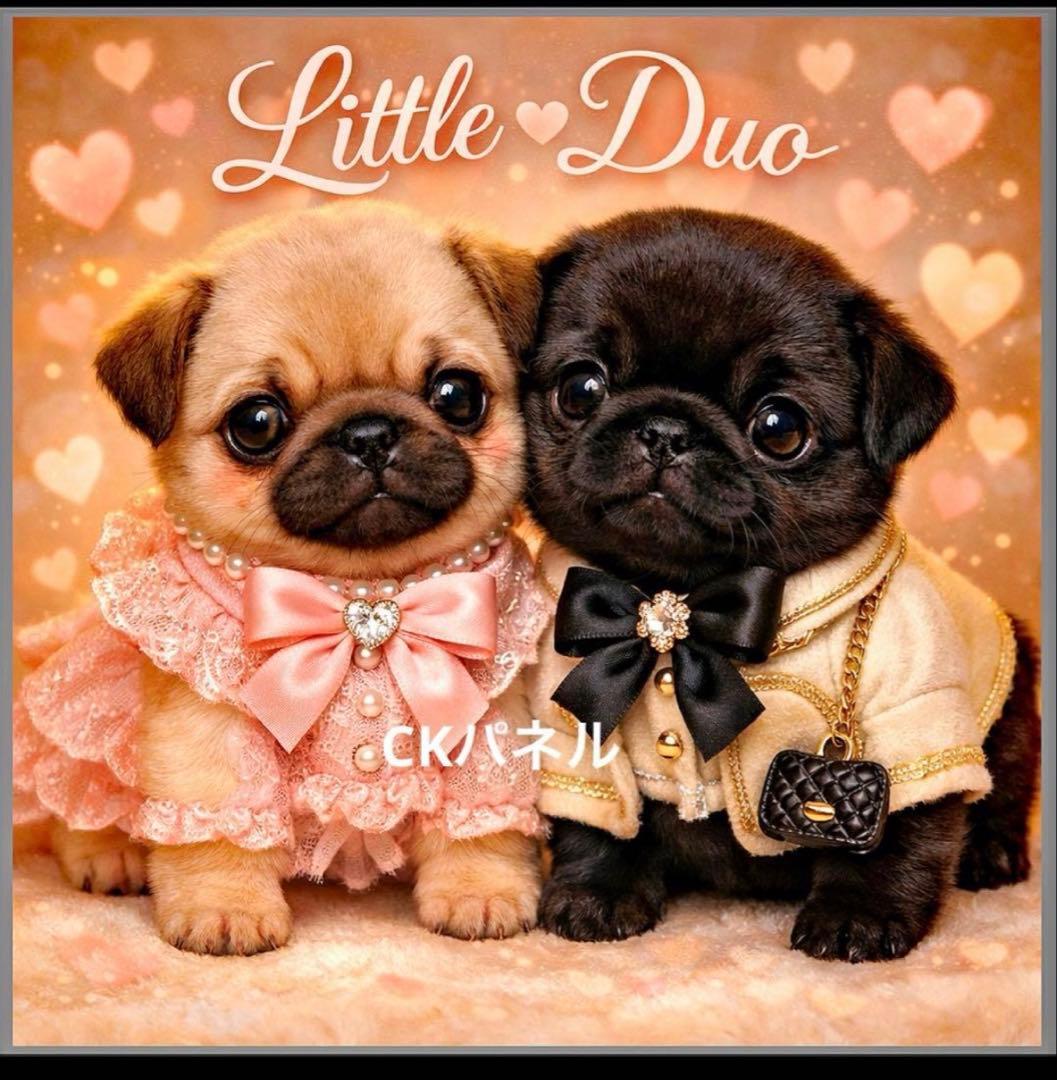 ❤️オーダー製作お受付用　確認用生地一部 315❤️