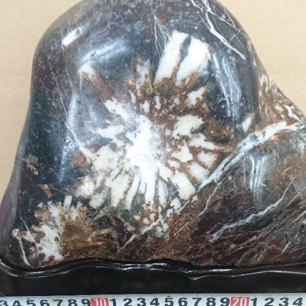 菊花石7.3キロ 庭石 鑑賞石 盆栽 置物 オブジェ 原石