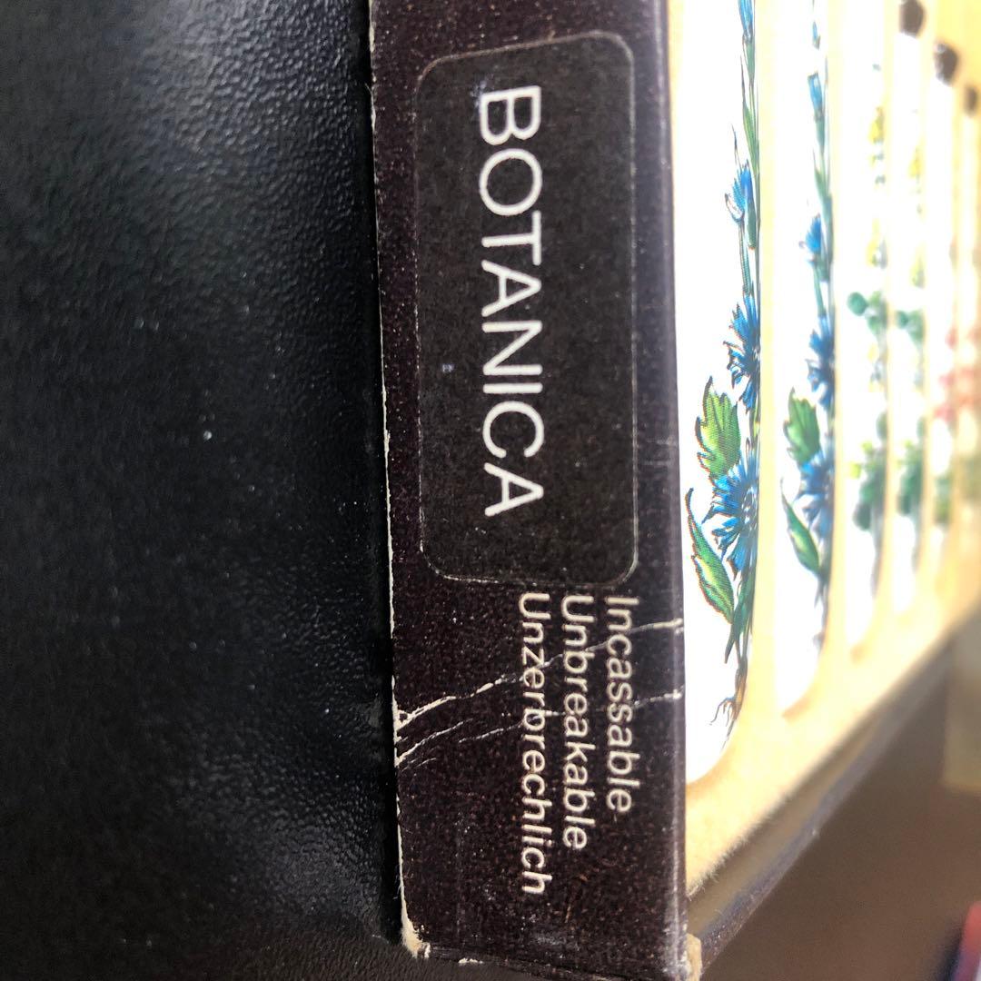 ◾️人気シリーズ◾️BOTANICA フォークセット 6本 植物デザイン